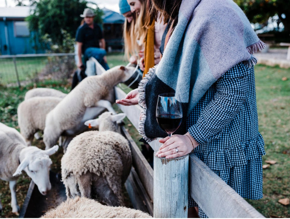 Forage On The Farm & Vino In The Vines - We Wander