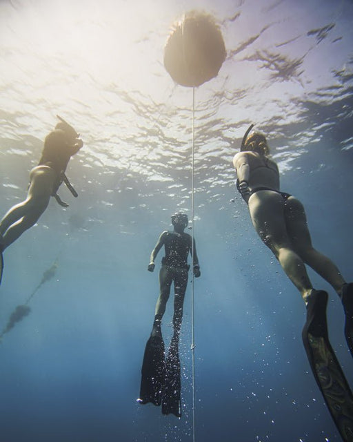 Freediving Course - Airlie Beach - 2 Day - We Wander