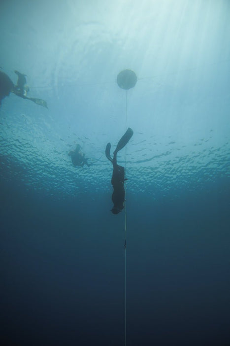 Freediving Course - Mooloolaba - 2 Day - We Wander