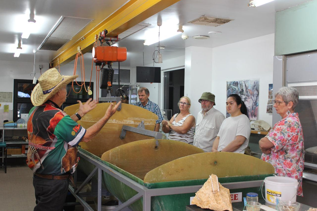 Guided Riversleigh Fossil Discovery Centre & Laboratory - We Wander