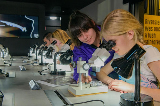 Guided Riversleigh Fossil Discovery Centre & Laboratory - We Wander