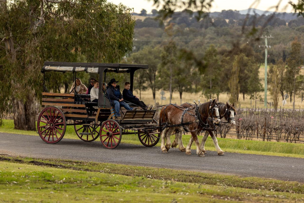 Harvest The Hunter Wine And Produce Tour - We Wander