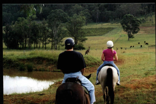 Heli - Horsing And Picnic - We Wander