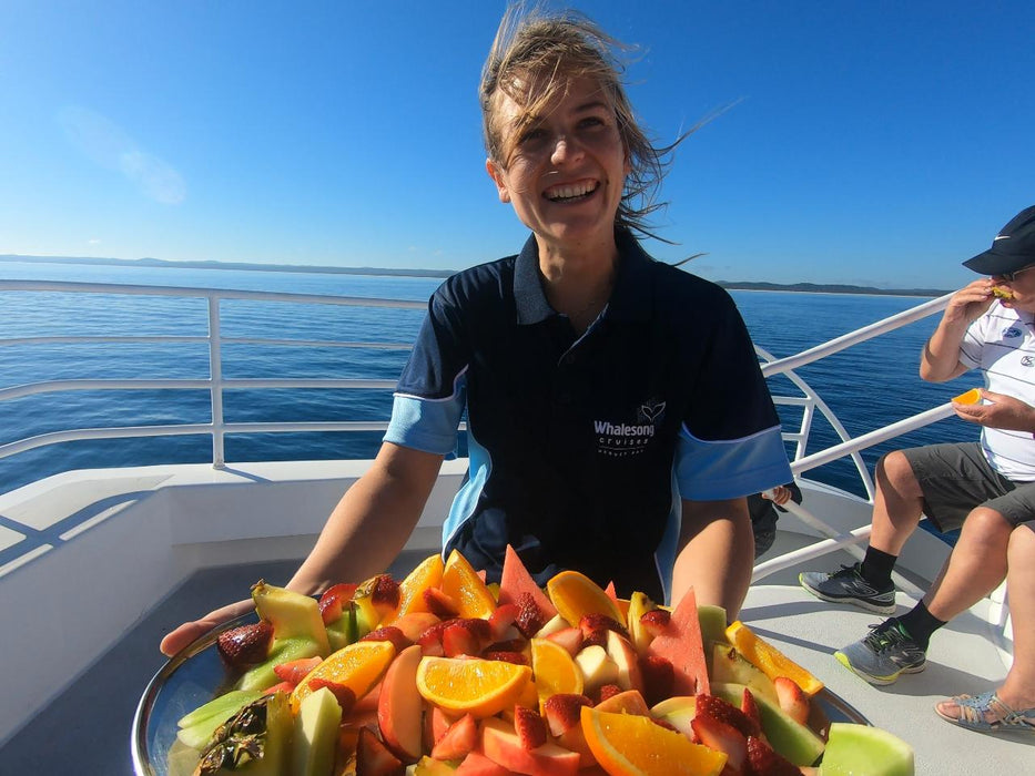 Hervey Bay Whale Search And Dolphin Watch - We Wander