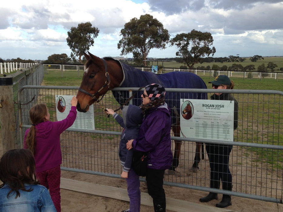 Horses, Wine & Beer Tour - We Wander