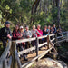 Jarrahdale Hike, Wine & Dine Experience - We Wander