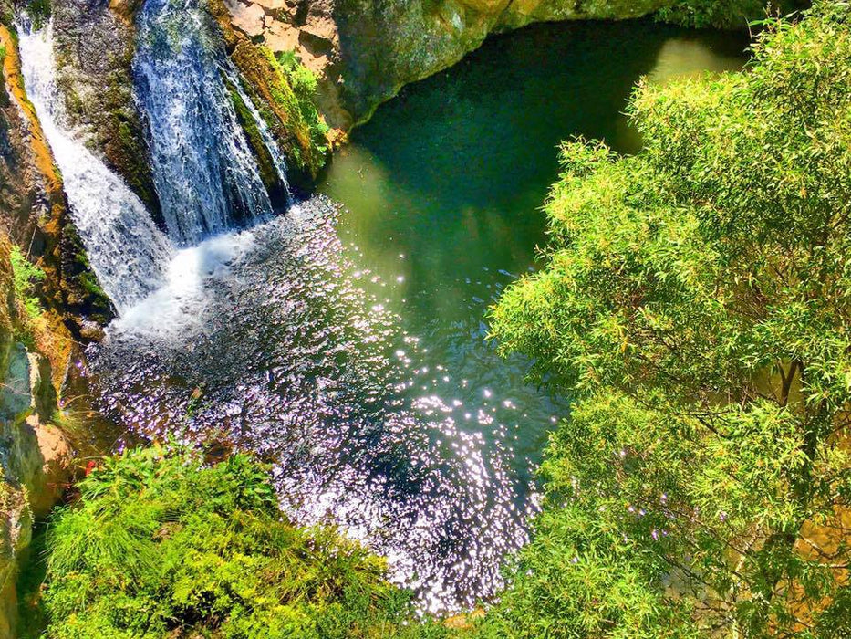 Jenolan Caves Blue Mountains Day Adventure + River Cruise - We Wander