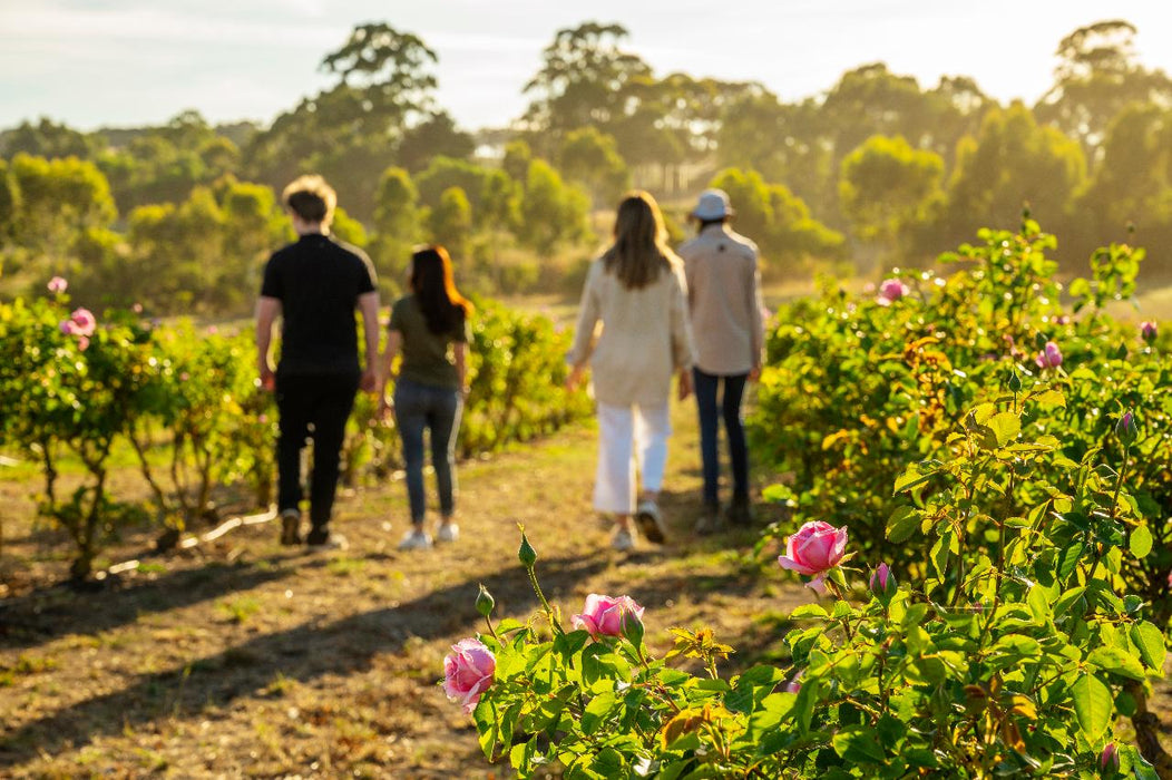 Jurlique Farm Tour - We Wander