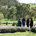 Jurlique Farm Tour & Hills Gourmet Picnic - We Wander