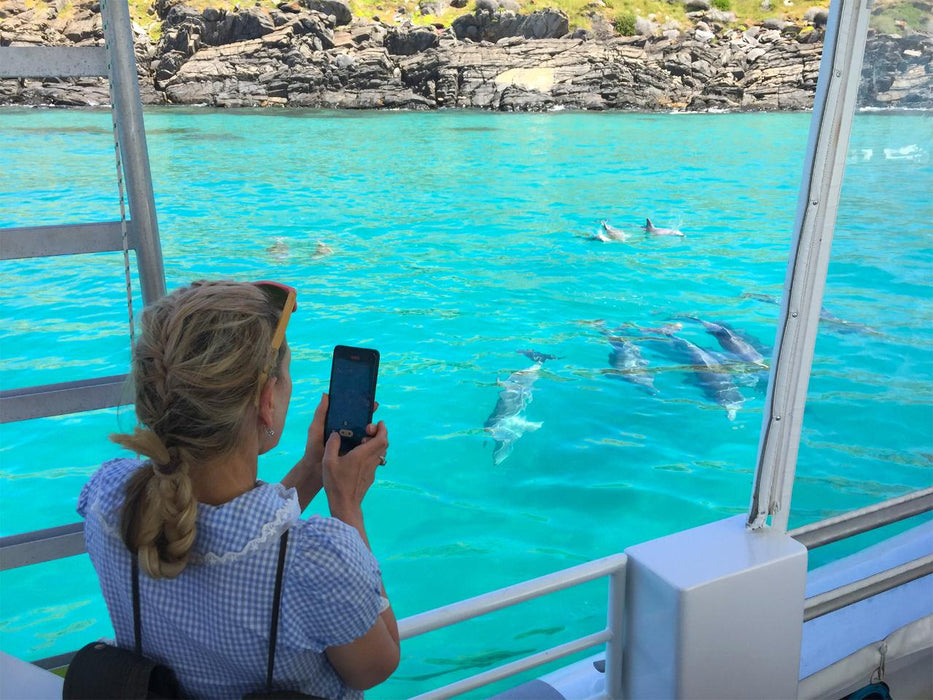 Kangaroo Island Ocean Safari - 75 Minute Safari - We Wander