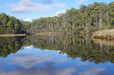 Leven River & History Cruise - We Wander