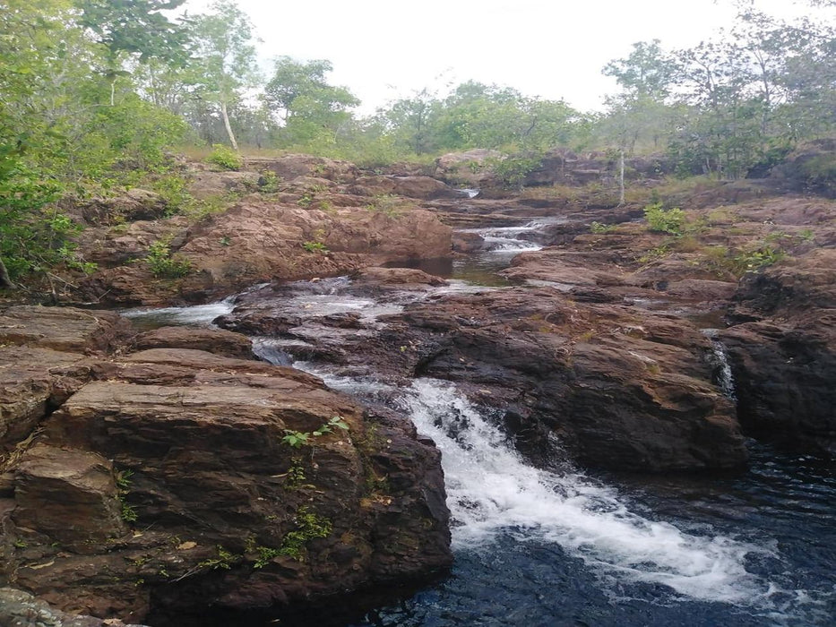 Litchfield Park Adventures + Berry Springs Natural Reserve - We Wander