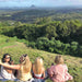 Maleny And Montville Tour With Artisan Village And Wine Tasting - Luxury Private Tour - We Wander