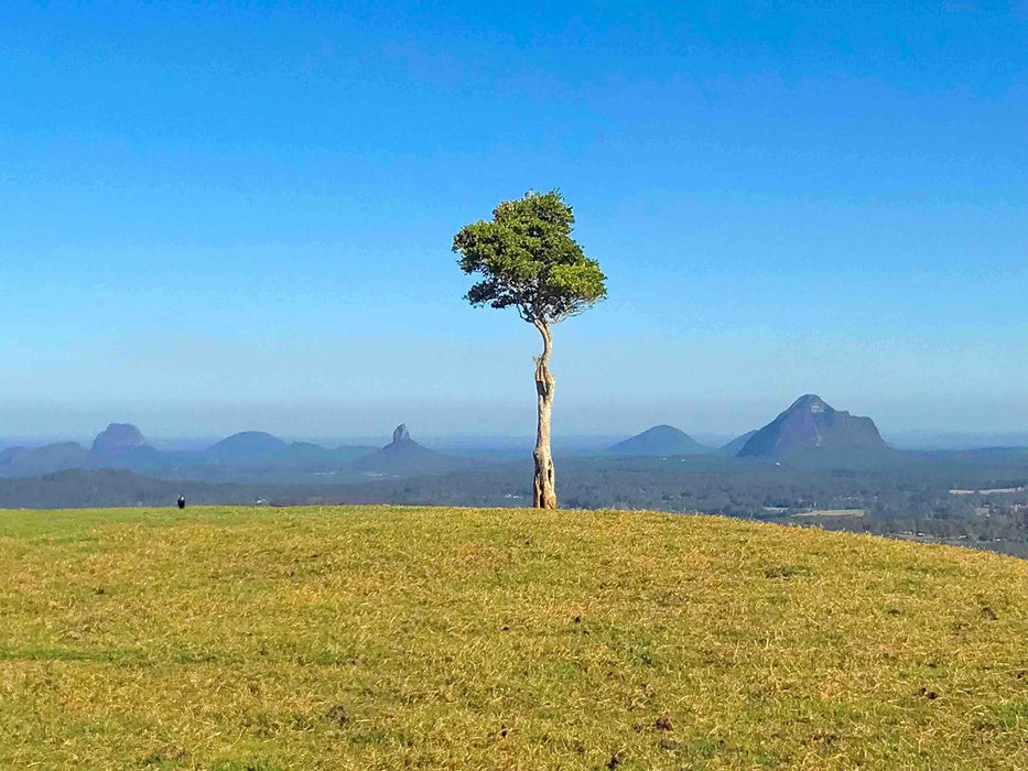 Maleny And Montville Tour With Artisan Village And Wine Tasting - Luxury Private Tour - We Wander