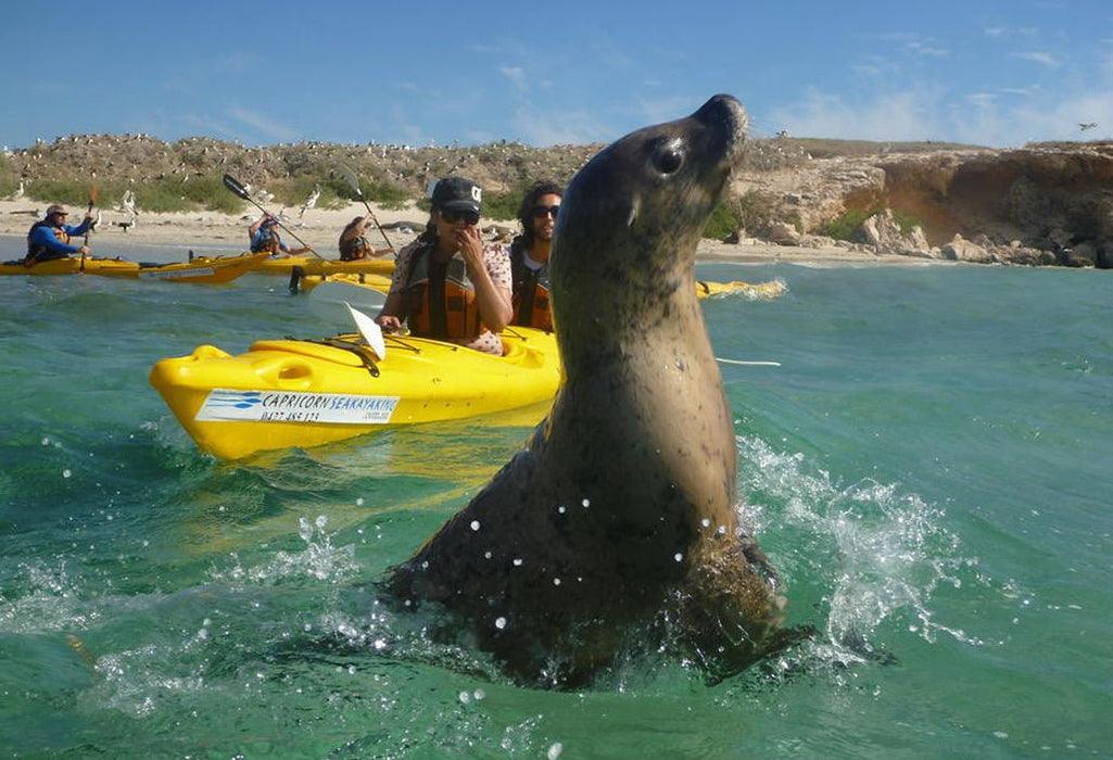 Mandurah Canal Cruise & Caversham Wild Life Park - We Wander