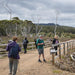 Maria Island National Park - Premium Private Photo - Oriented Day Tour - We Wander