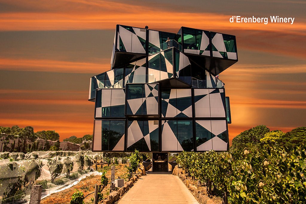 Mclaren Vale Wine Tour Corporate Package Full Day - We Wander