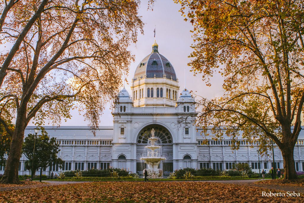 Melbourne Half - Day City Sights Tour - We Wander