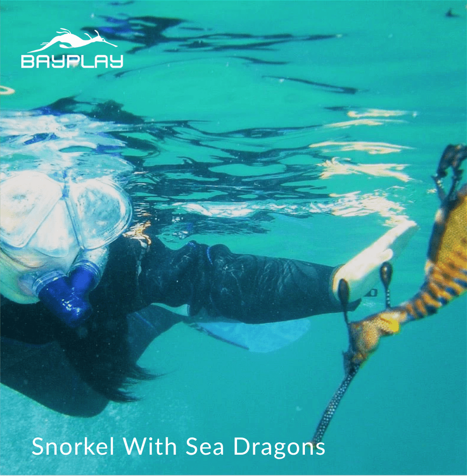 Moments for Two - Experience Portfolio for business - We Wander