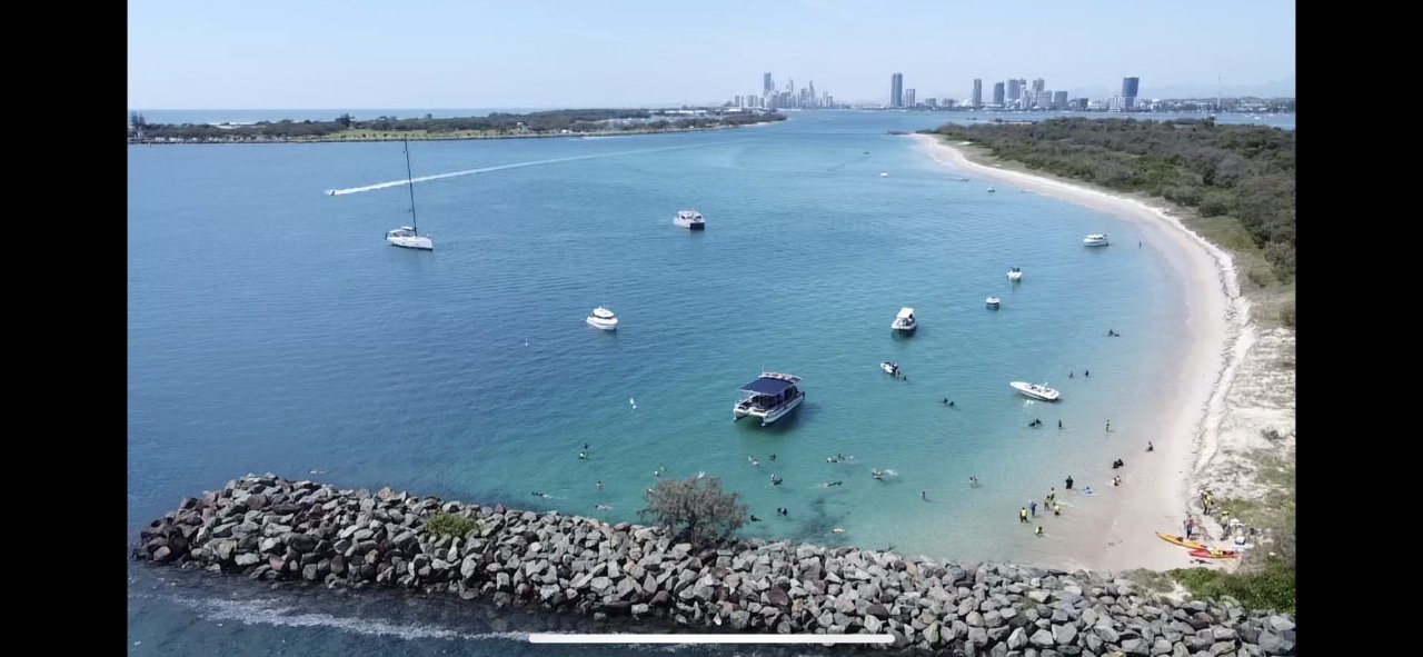 Morning Dolphin Kayaking & Snorkeling Tour - We Wander