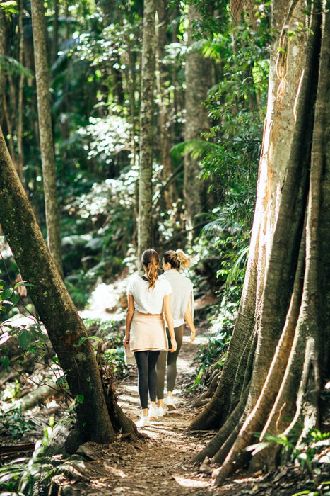 Natural Bridge & Springbrook Waterfalls Tour - We Wander