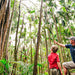 Natural Bridge & Springbrook Waterfalls Tour - We Wander