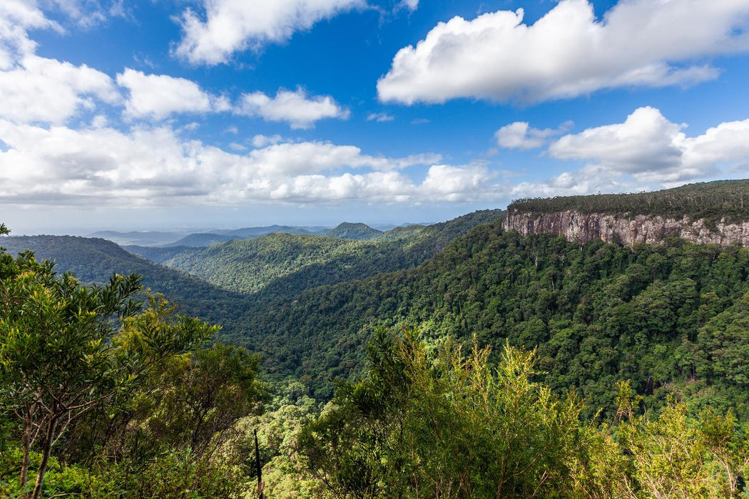 Natural Bridge & Springbrook Waterfalls Tour - We Wander