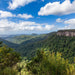 Natural Bridge & Springbrook Waterfalls Tour - We Wander