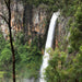 Natural Bridge & Springbrook Waterfalls Tour - We Wander