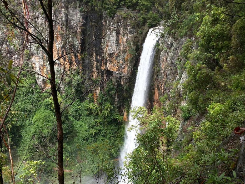 Natural Bridge & Springbrook Waterfalls Tour - We Wander