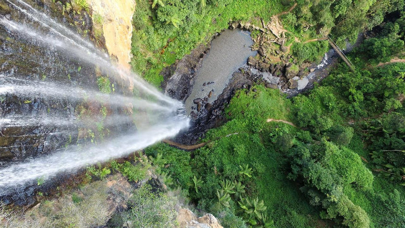 Natural Bridge & Springbrook Waterfalls Tour - We Wander