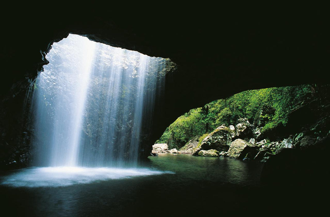 Natural Bridge & Springbrook Waterfalls Tour - We Wander