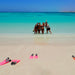 Ningaloo In A Day - We Wander