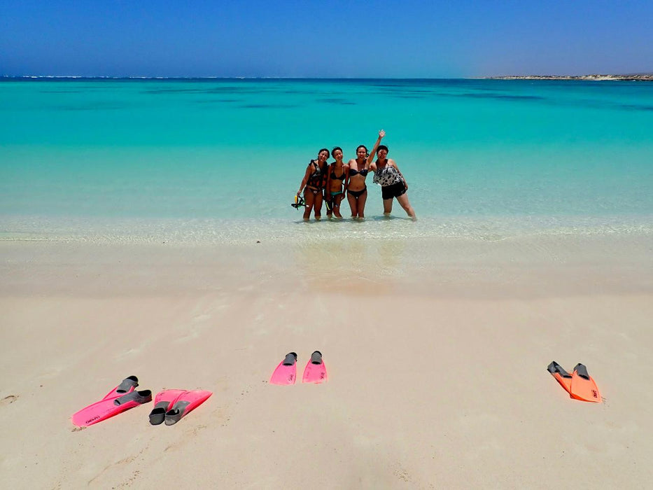 Ningaloo In A Day - We Wander