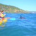 Noosa Dolphin View Sea Kayak & Beach 4X4 Adventure - Day Tour - We Wander