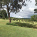 Noosa Hinterland Drinks Tour With Distillery, Brewery, Meadery And Winery - Luxury Private Tour - We Wander