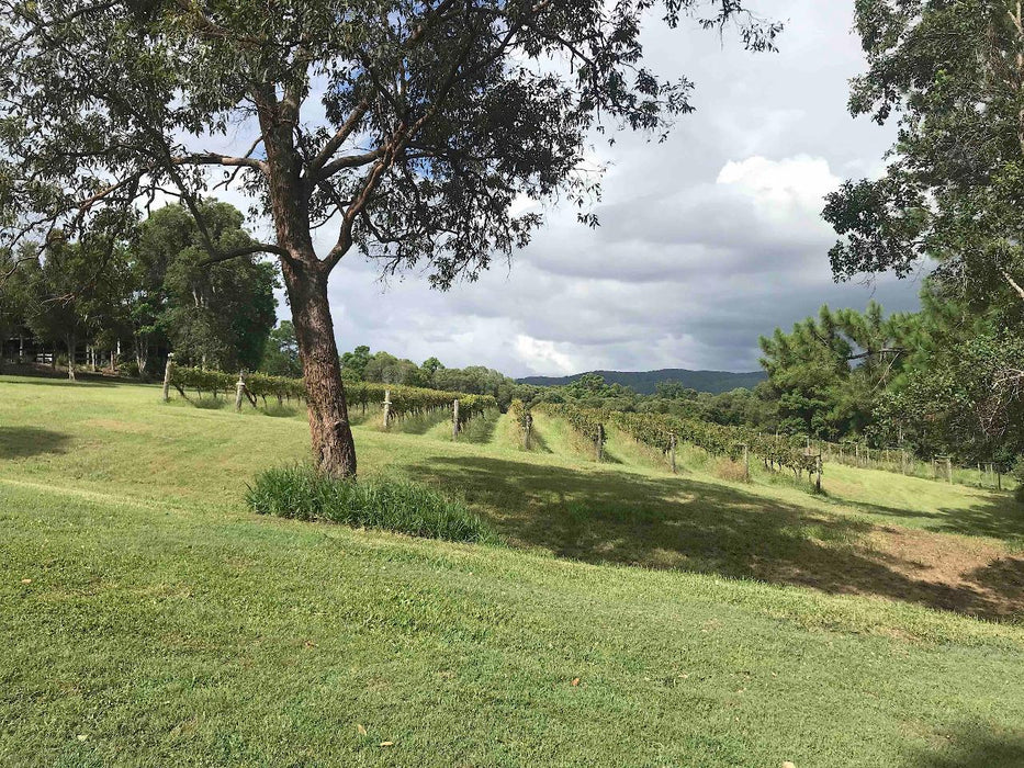 Noosa Hinterland Drinks Tour With Distillery, Brewery, Meadery And Winery - Luxury Private Tour - We Wander