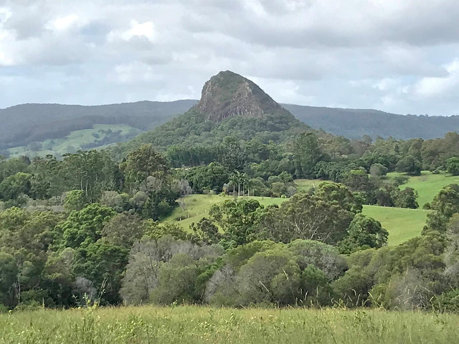 Noosa Hinterland Tour From Noosa With Gourmet Lunch, Wine Tasting And Everglades Lake - Luxury Priva - We Wander