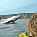 Noosa Private Day Tour - Double Island Point Wildlife Adventure - We Wander