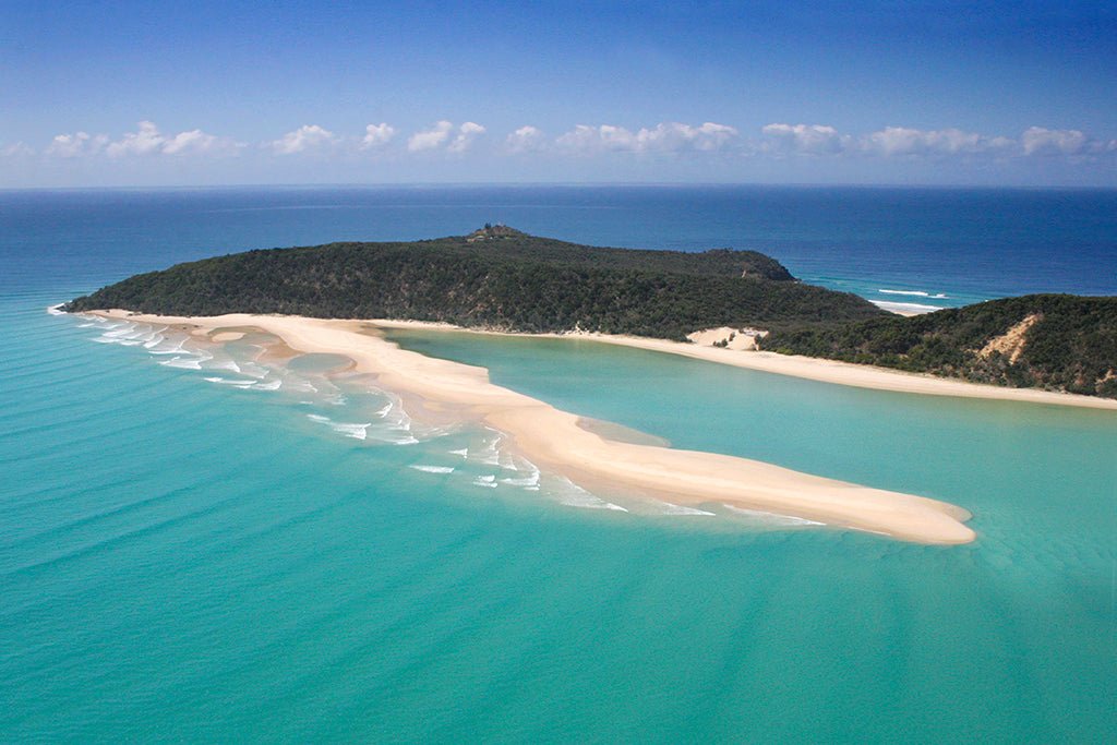 Noosa Private Day Tour - Double Island Point Wildlife Adventure - We Wander