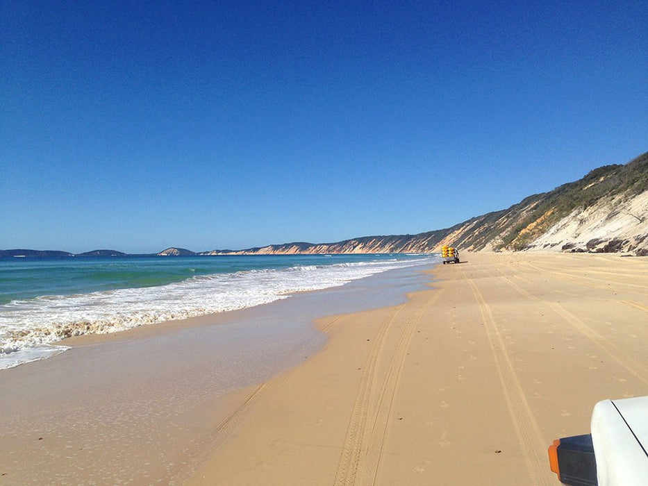 Noosa Private Day Tour - Double Island Point Wildlife Adventure - We Wander