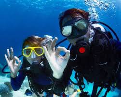 Open Water Diver Course - We Wander