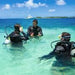 Open Water Diver Course - We Wander