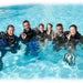 Open Water Diver Course - We Wander