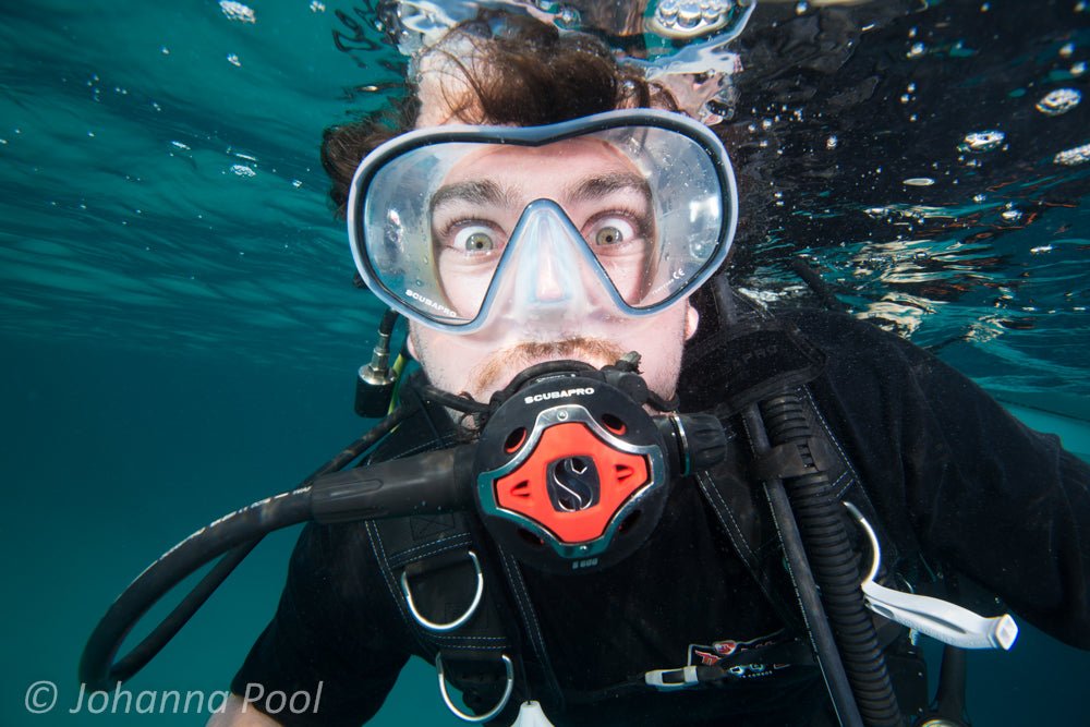 Padi Open Water Dive Course - Learn To Dive - We Wander