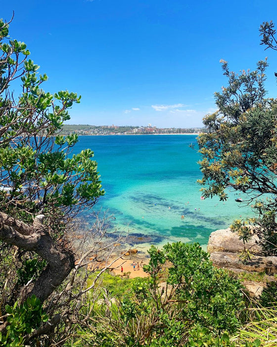 Port Stephens North Coast Tour - We Wander