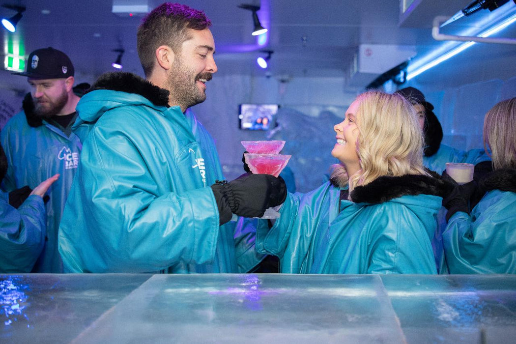 Premium Plus Arctic Experience At Icebar - We Wander