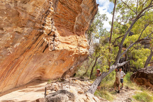 Private 1 Day Chillagoe Caves Tour - We Wander