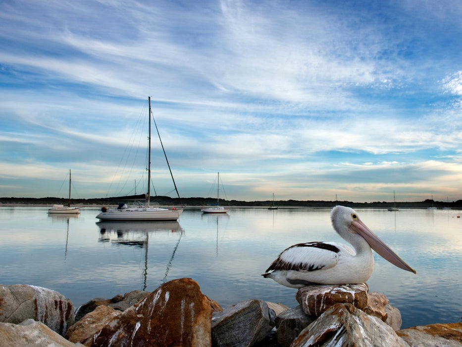 Private Coach - A Taste Of Kangaroo Island 24 Seater - We Wander