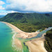 Private Daintree Rainforest Day Tour - We Wander